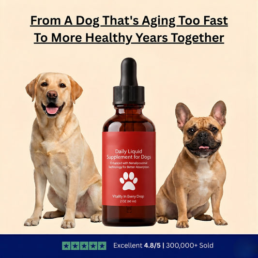 Longevity Drops — NAD+ & NMN Healthy Aging & Cellular Vitality for Dogs