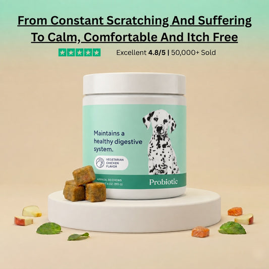 Allergy & Immune Support Chews - Anti-Itch, Skin Relief & Seasonal Allergy Defense for Dogs