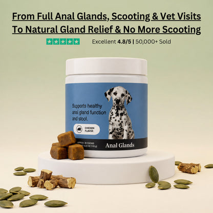 Anal Gland Chews — Scooting Relief, Gland Health & Digestive Support for Dogs