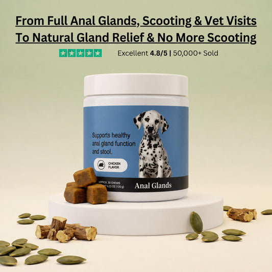 Anal Gland Chews — Scooting Relief, Gland Health & Digestive Support for Dogs