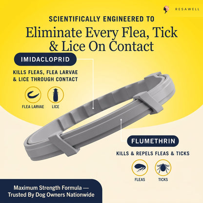 Flea & Tick Collar — Maximum Strength Protection Against Fleas, Ticks & Lice for Dogs