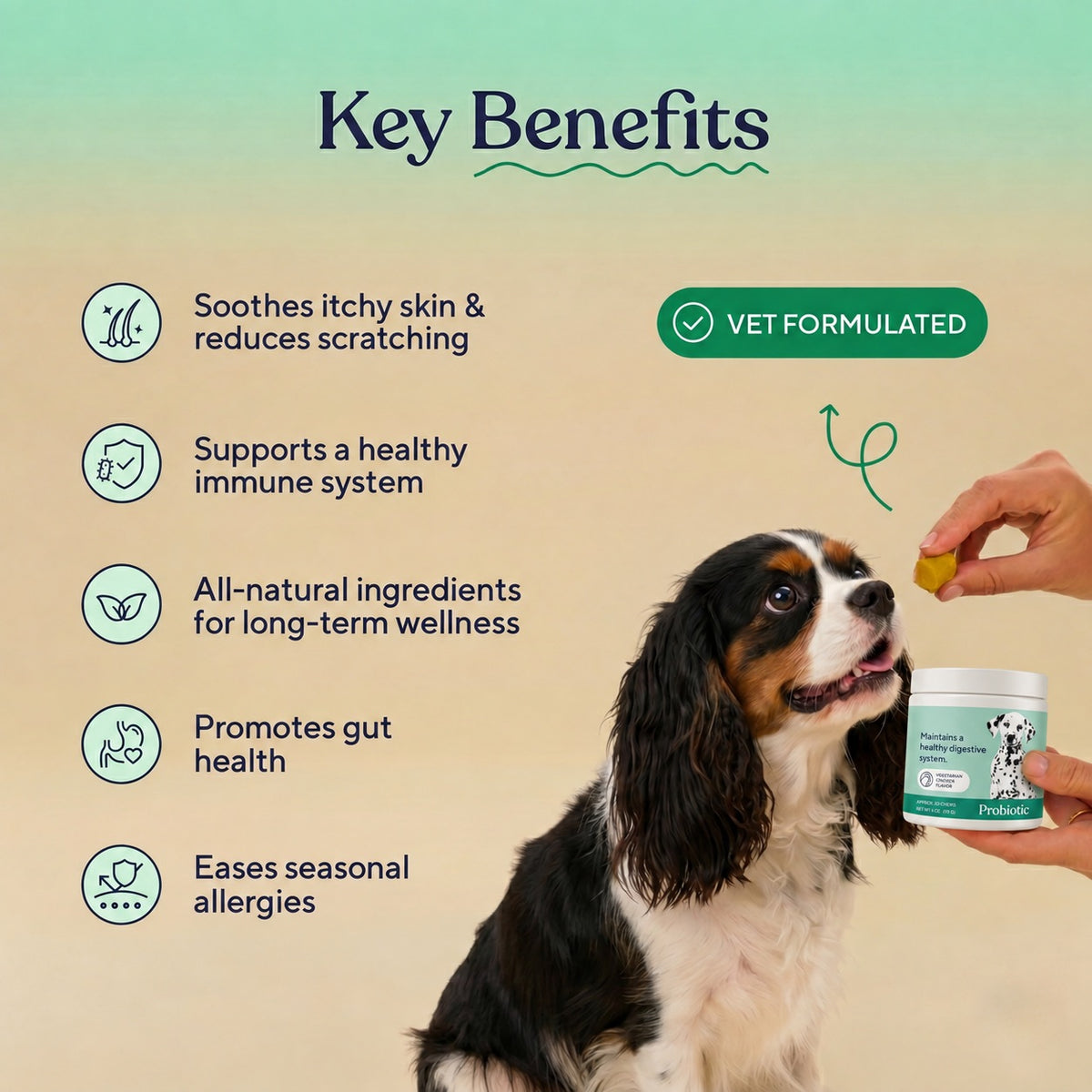 Allergy & Immune Support Chews - Anti-Itch, Skin Relief & Seasonal Allergy Defense for Dogs
