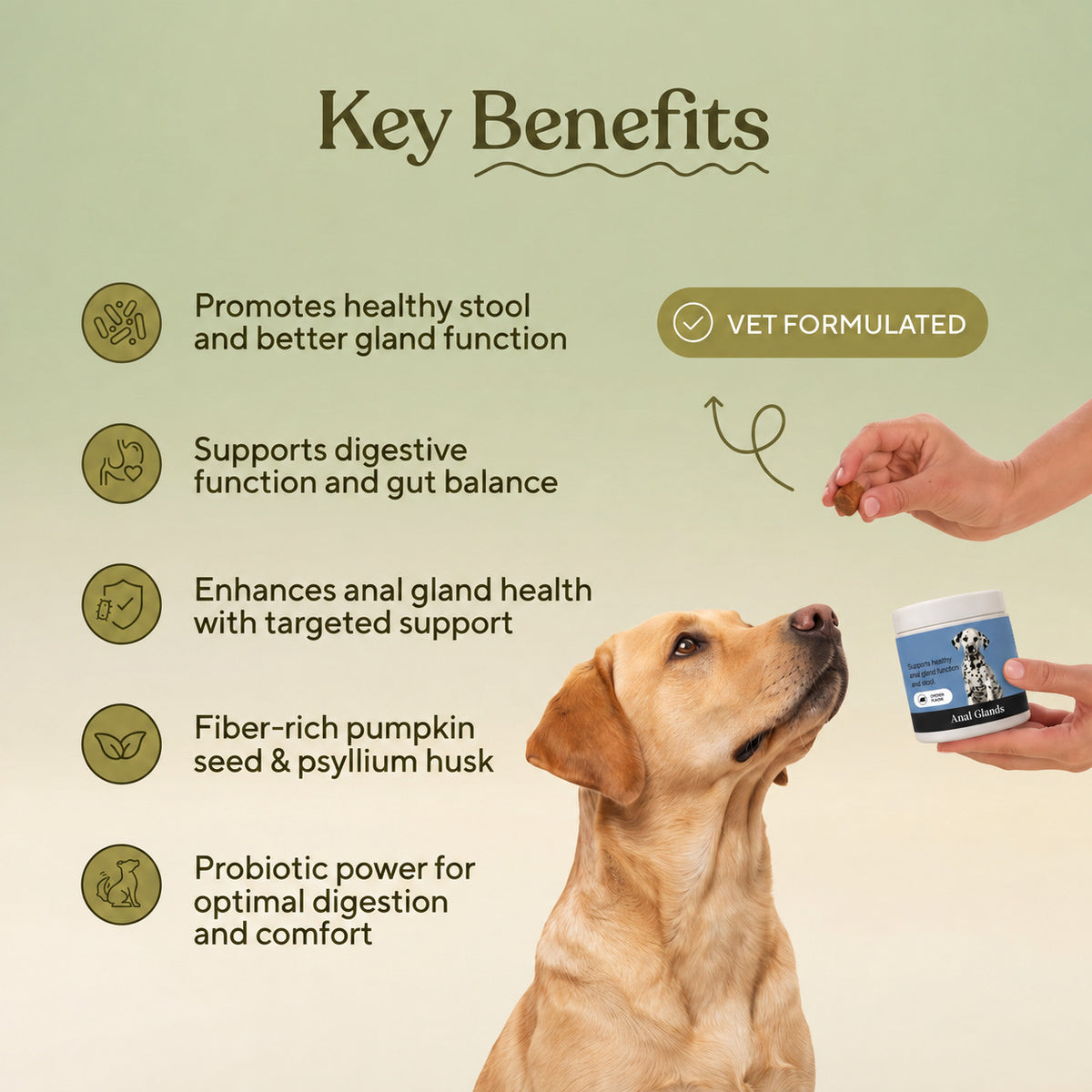 Anal Gland Chews — Scooting Relief, Gland Health & Digestive Support for Dogs