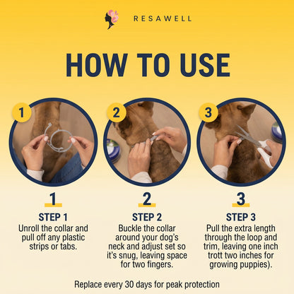 Flea & Tick Collar — Maximum Strength Protection Against Fleas, Ticks & Lice for Dogs