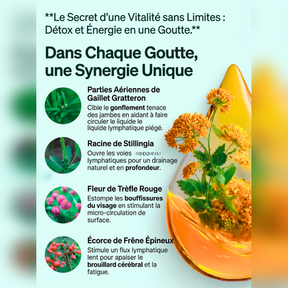 Lyphaderm Gouttes drainage lymphatique