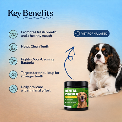 Dental Powder — Fresh Breath, Cleaner Teeth & Healthier Gums for Dogs
