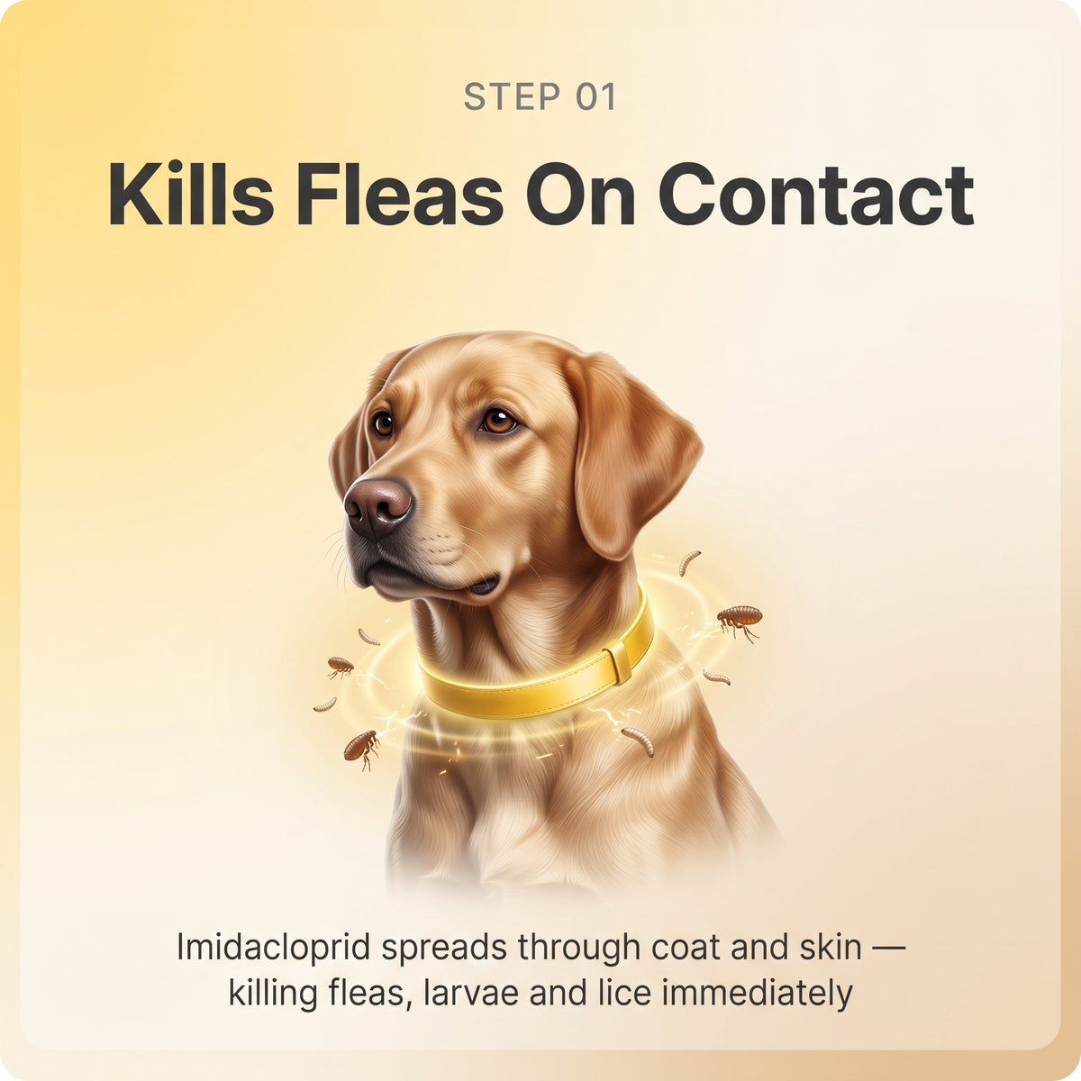Flea & Tick Collar — Maximum Strength Protection Against Fleas, Ticks & Lice for Dogs | detail 5