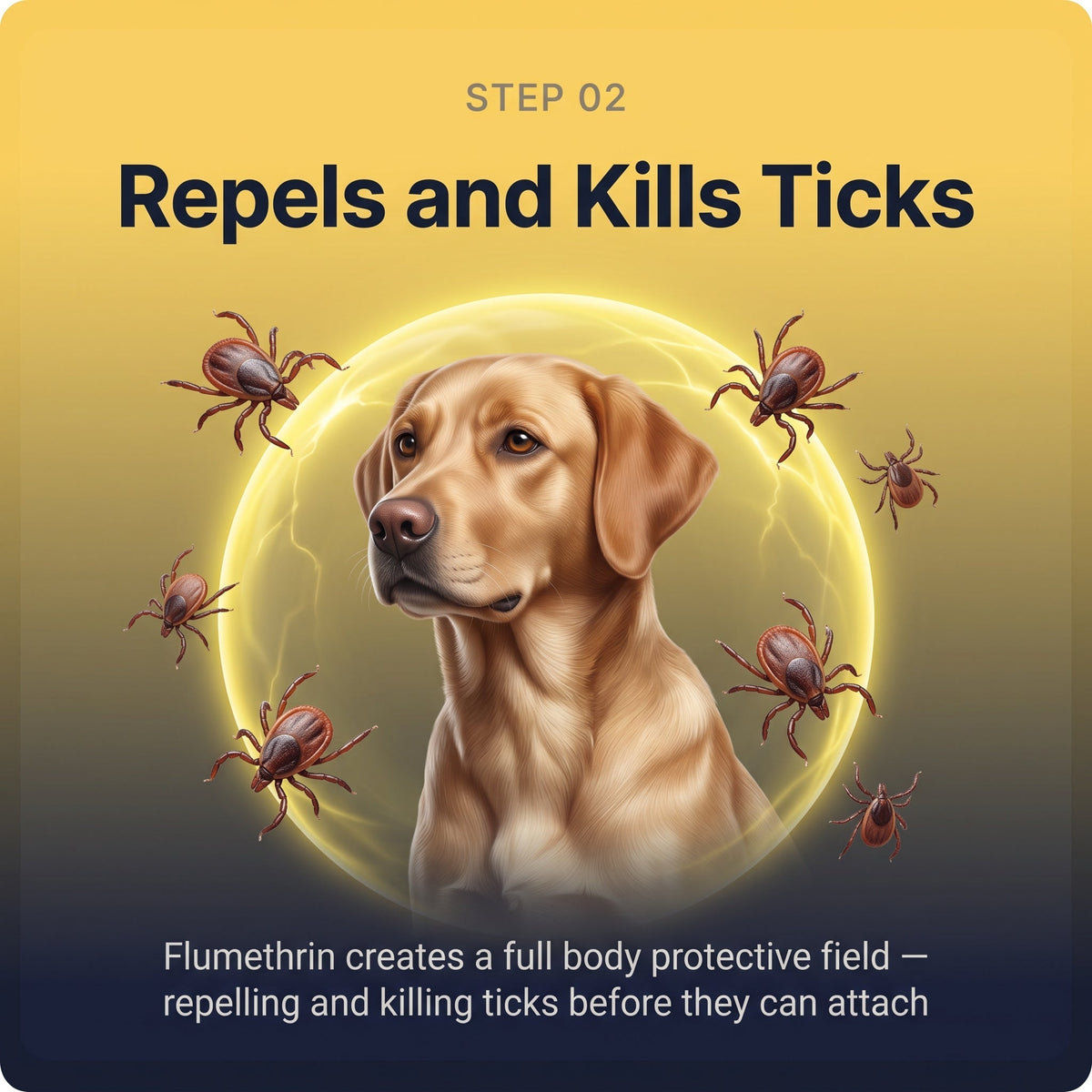 Flea & Tick Collar — Maximum Strength Protection Against Fleas, Ticks & Lice for Dogs | detail 6
