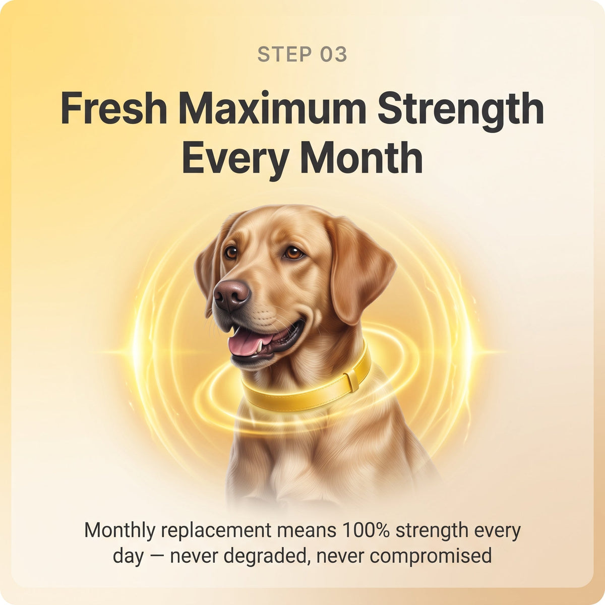 Flea & Tick Collar — Maximum Strength Protection Against Fleas, Ticks & Lice for Dogs | detail 7