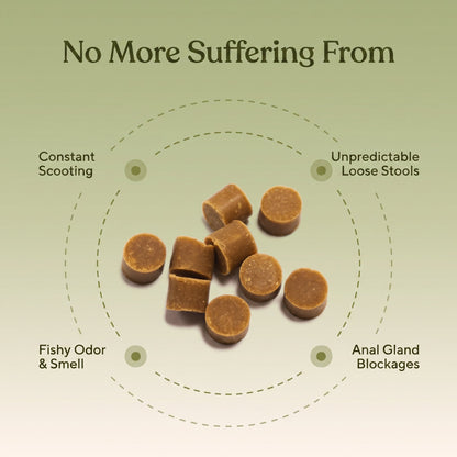 Anal Gland Chews — Scooting Relief, Gland Health & Digestive Support for Dogs | gallery 2