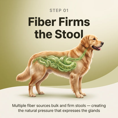 Anal Gland Chews — Scooting Relief, Gland Health & Digestive Support for Dogs | detail 5