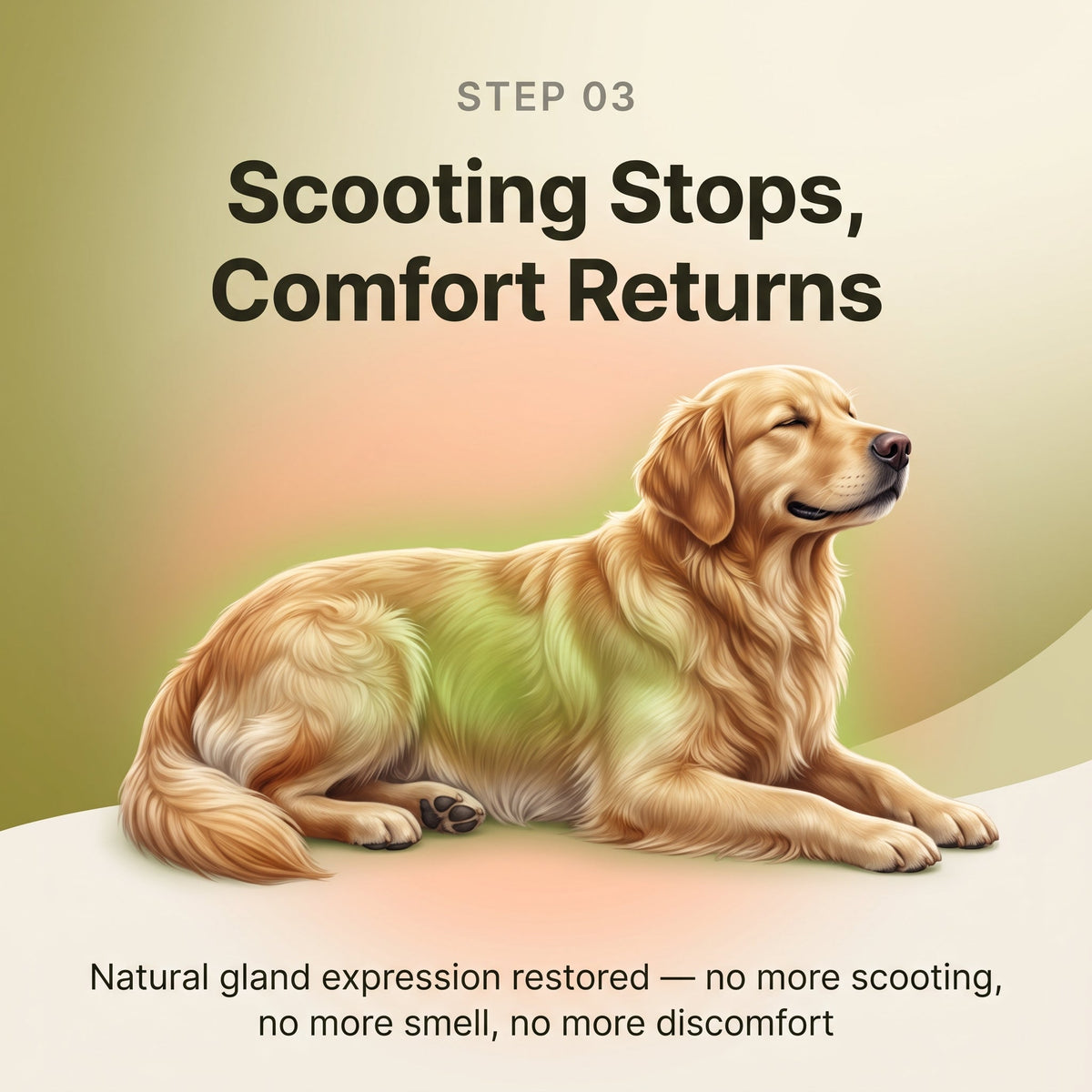 Anal Gland Chews — Scooting Relief, Gland Health & Digestive Support for Dogs | detail 7