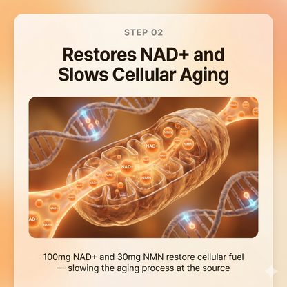 Longevity Drops — NAD+ & NMN Healthy Aging & Cellular Vitality for Dogs | detail 8
