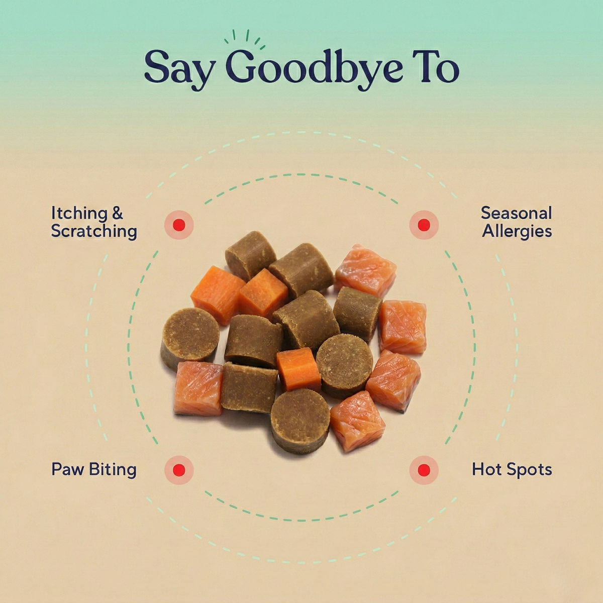 Allergy & Immune Support Chews - Anti-Itch, Skin Relief & Seasonal Allergy Defense for Dogs | gallery 2