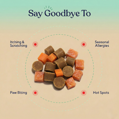 Allergy & Immune Support Chews - Anti-Itch, Skin Relief & Seasonal Allergy Defense for Dogs | gallery 2