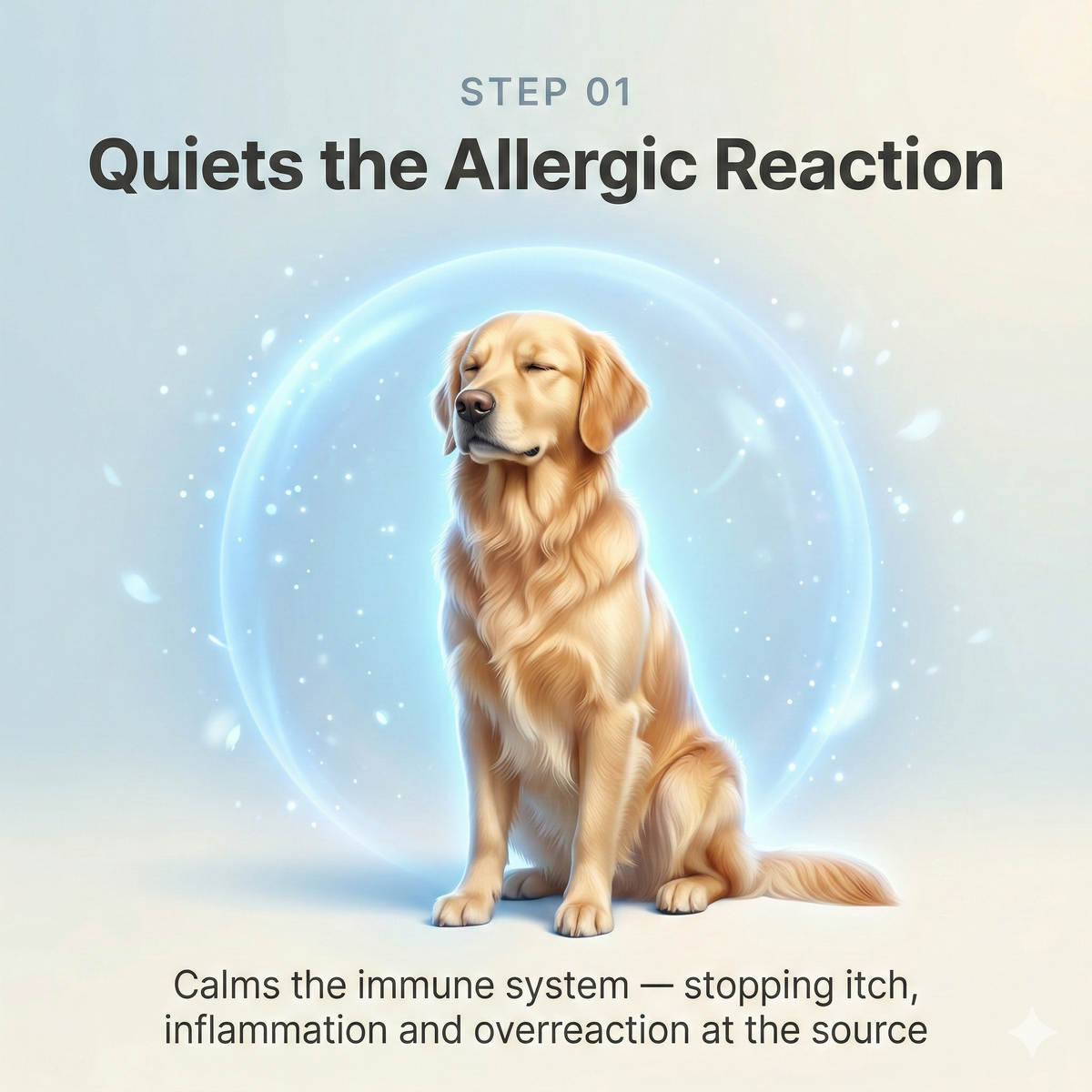 Allergy & Immune Support Chews - Anti-Itch, Skin Relief & Seasonal Allergy Defense for Dogs | detail 6