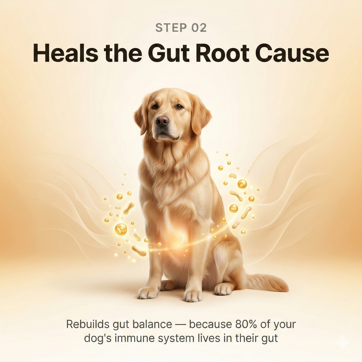 Allergy & Immune Support Chews - Anti-Itch, Skin Relief & Seasonal Allergy Defense for Dogs | detail 7