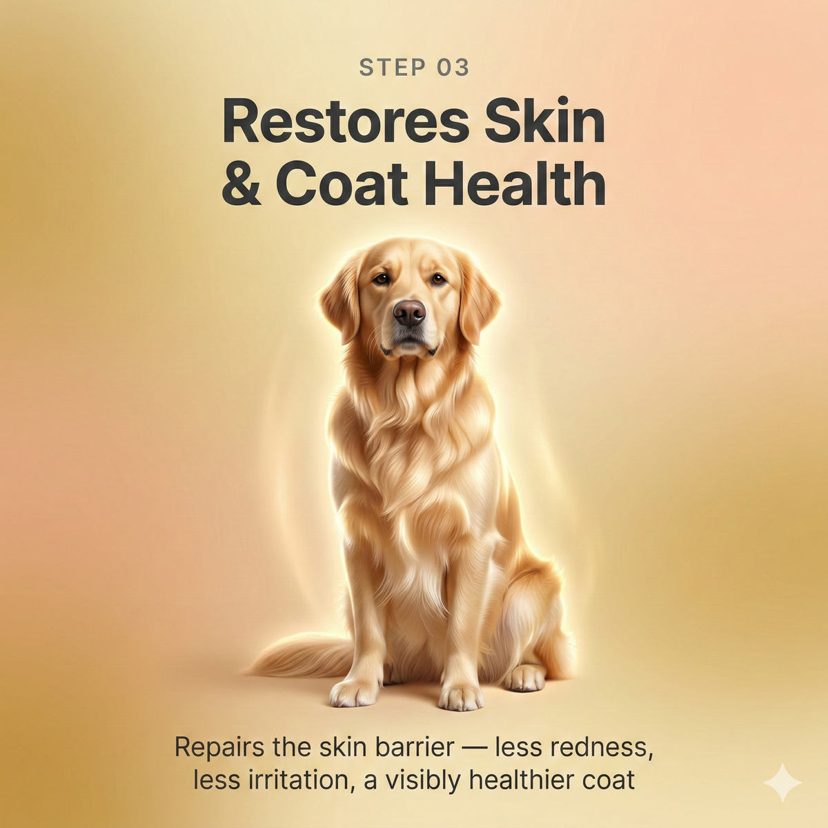 Allergy & Immune Support Chews - Anti-Itch, Skin Relief & Seasonal Allergy Defense for Dogs | detail 8