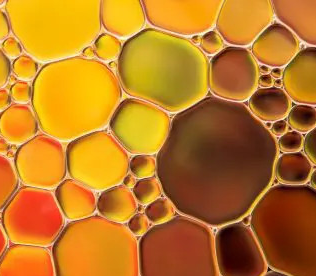Oregano Oil ingredient