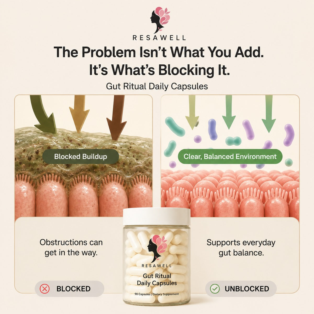 Gut Ritual Daily Capsules — image 02